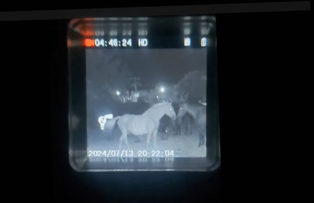 Raven IR Monoscope Reviews: Tactical Clarity from Mcg Night Vision Gear