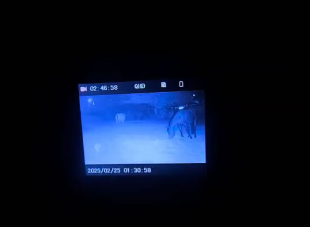 DarkForce NVB Review: Tactical Night Vision That Overdelivers
