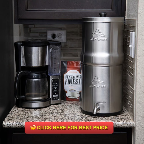 Alexapure Pro Review: Best Alexapure Filter for Safe, Clean Drinking Water